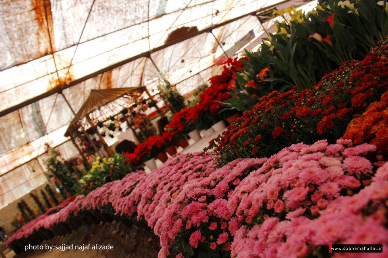 سفر,سفر رفتن,مسافرت رفتن